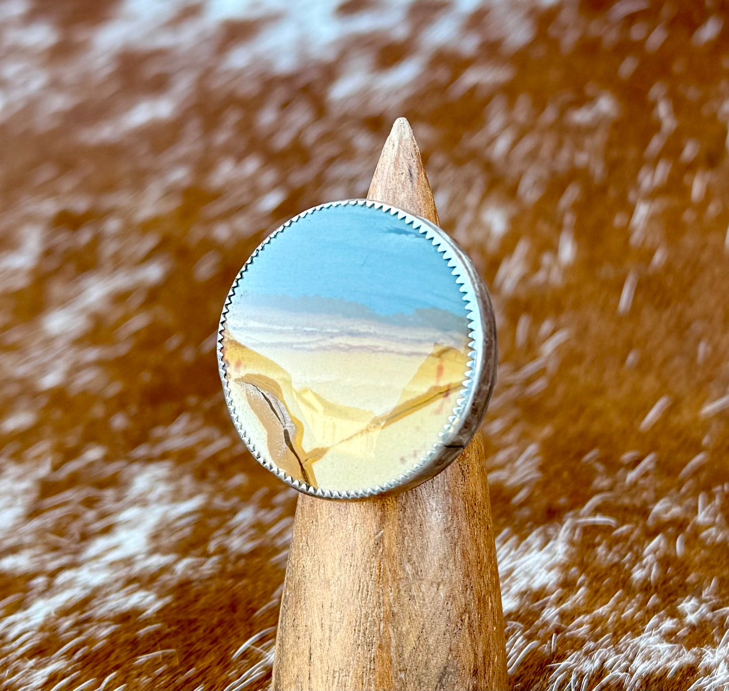 Owyhee Picture Jasper Scarf Slide/Ring