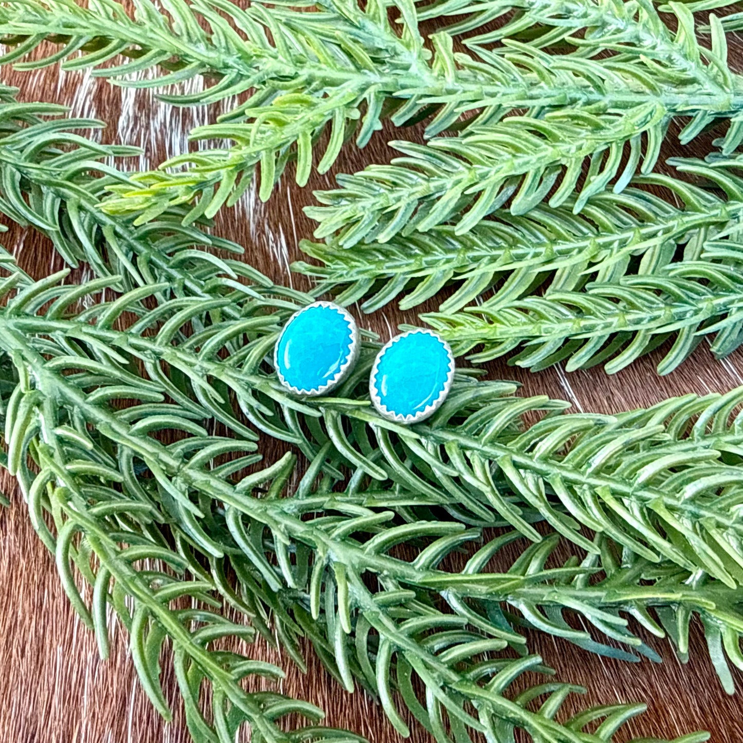 Kingman Turquoise oval stud earrings