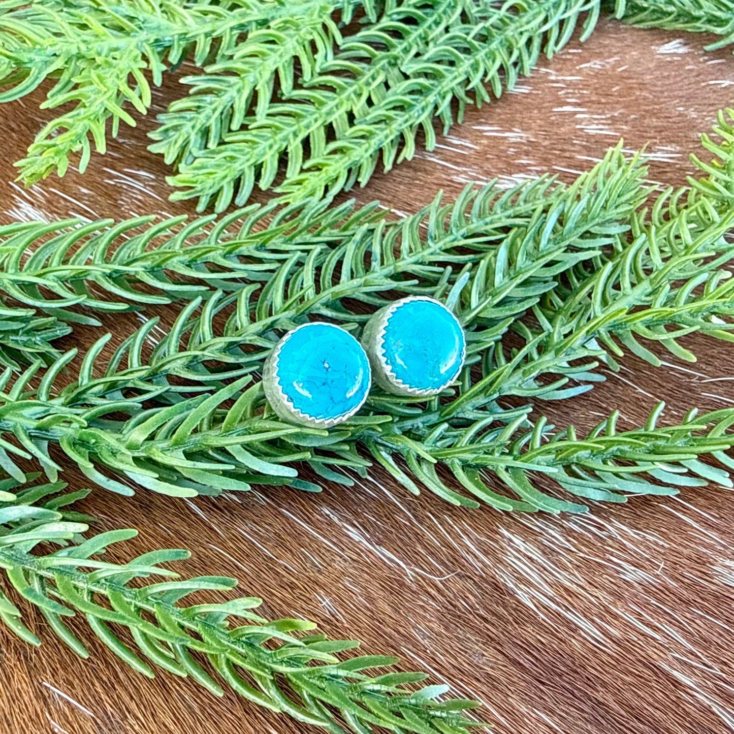 Kingman Turquoise Round stud earrings