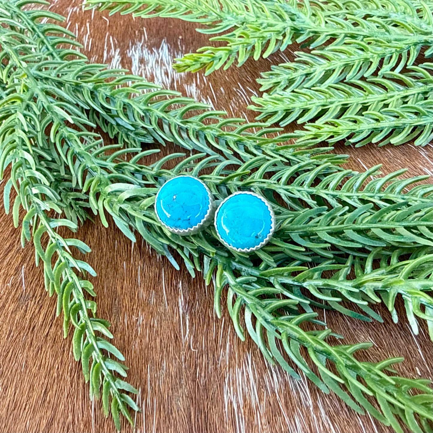 Kingman Turquoise Round stud earrings