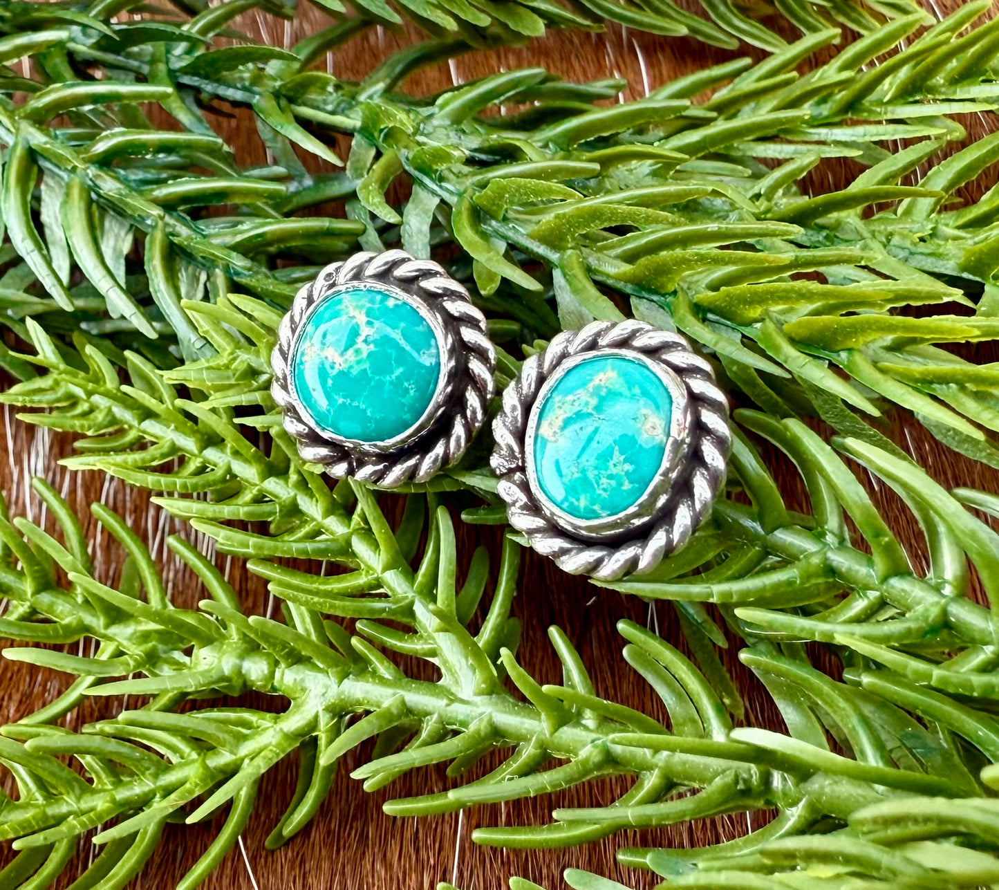 Sonoran Gold Turquoise stud earrings