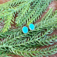 Kingman Turquoise oval stud earrings