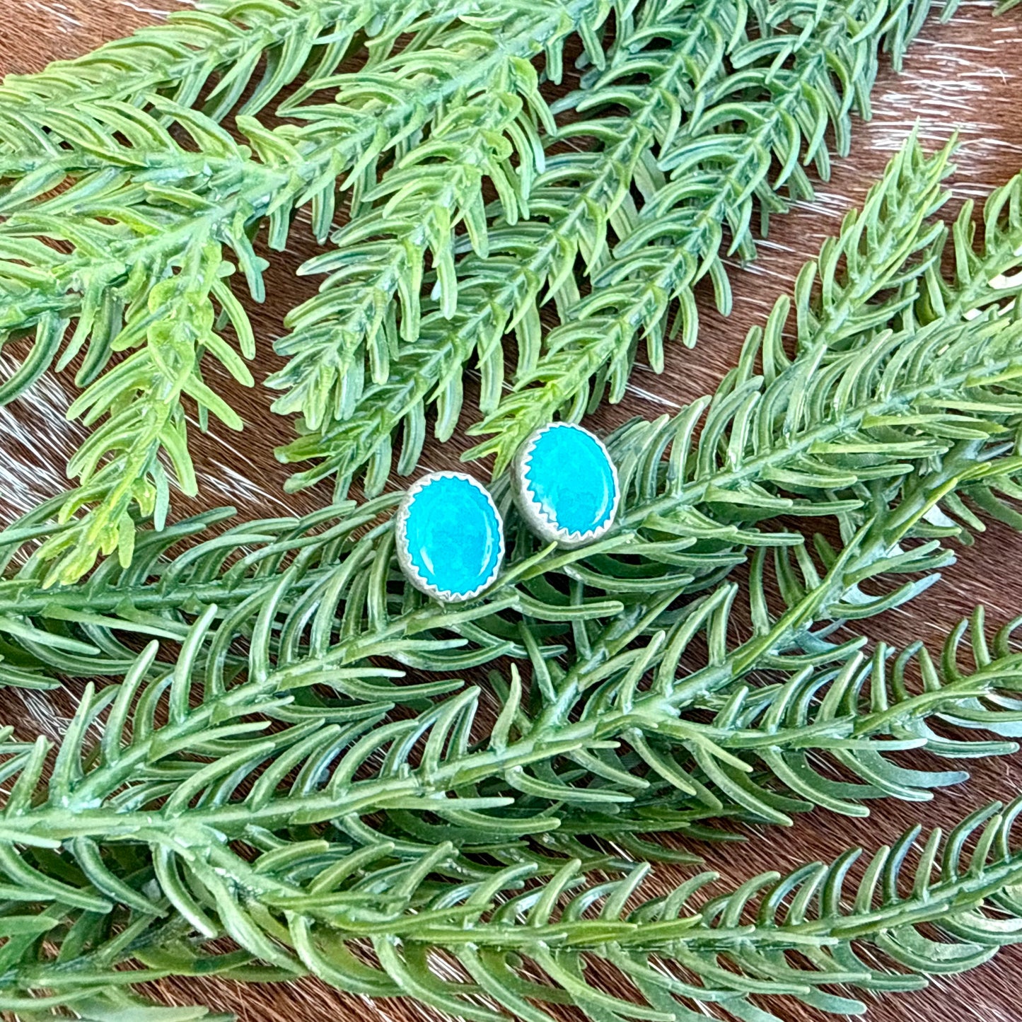 Kingman Turquoise oval stud earrings